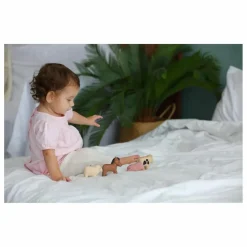 Plan Toys Figurines|Animaux de la ferme