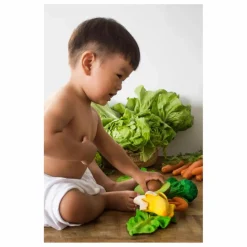 Oli & Carol Anneau de dentition Arnold l'avocat