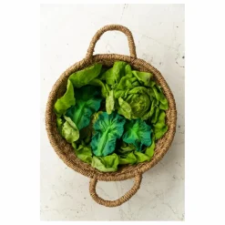 Oli & Carol Anneau de dentition Kendall le chou Vert foncé Discount