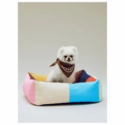 Hay Bandana pour chien | Marron