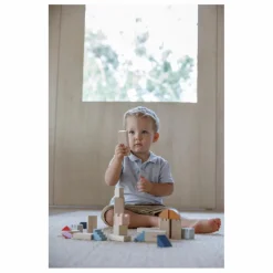 Plan Toys Blocs de construction Tendresse