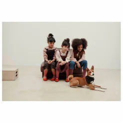 Enfant Emile et Ida Blouse Roses Brodées |