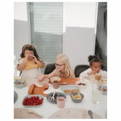 Discount Mushie Bol en silicone | Gris