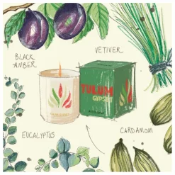 Homme Assouline Bougies, Senteurs|Bougies, Senteurs|Bougie en céramique Tulum |