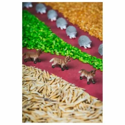 Petit Boum Bouteille sensorielle Forêt Multicolore Hot