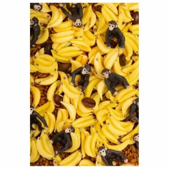 Discount Petit Boum Bouteille sensorielle Singe Multicolore