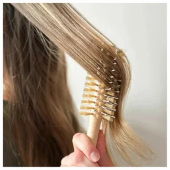 Bachca Brosse ronde brushing en poils de sanglier | Bois clair Hot