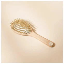 Homme/Femme Bachca Soins, Wellness|Accessoires|Brosse Soin et Brillance en poils de sanglier |