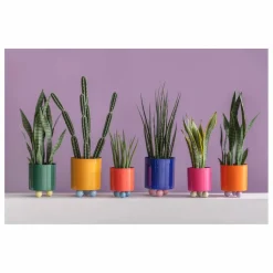 Clearance Present Time Cache-pot Double Funky | Rose