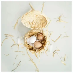 Le Toy Van Cagette à œufs | Beige Sale