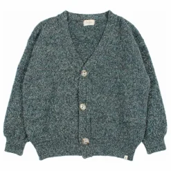 New Búho Cardigan Fibres Recyclées | Vert Cèdre