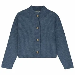 Best Tangerine Cardigan Tricoté | Bleu