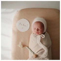 Mushie Cartes étapes