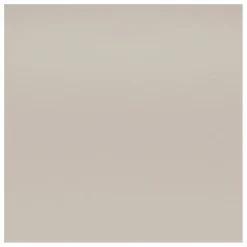 New Vitra Chaise DSW plastic - piètement érable - Charles & Ray Eames | Gris galet