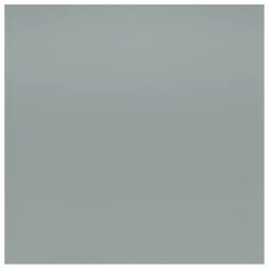 Best Vitra Chaise DSW plastic - piètement érable - Charles & Ray Eames | Gris clair