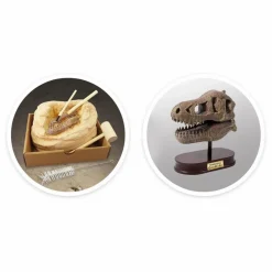 Buki Coffret d'archéologie - Museum Dino Skull