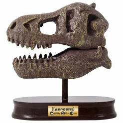 Buki Coffret d'archéologie - Museum Dino Skull