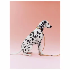 Sale Hay Collier | Off-White