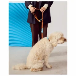 Approved by Fritz Collier pour chien |