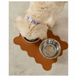 Approved by Fritz Collier pour chien | Lilas tLilas Hot