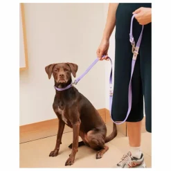 Approved by Fritz Collier pour chien | Lilas tLilas Hot