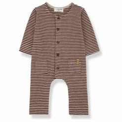 1+ in the family Combinaison Albert |