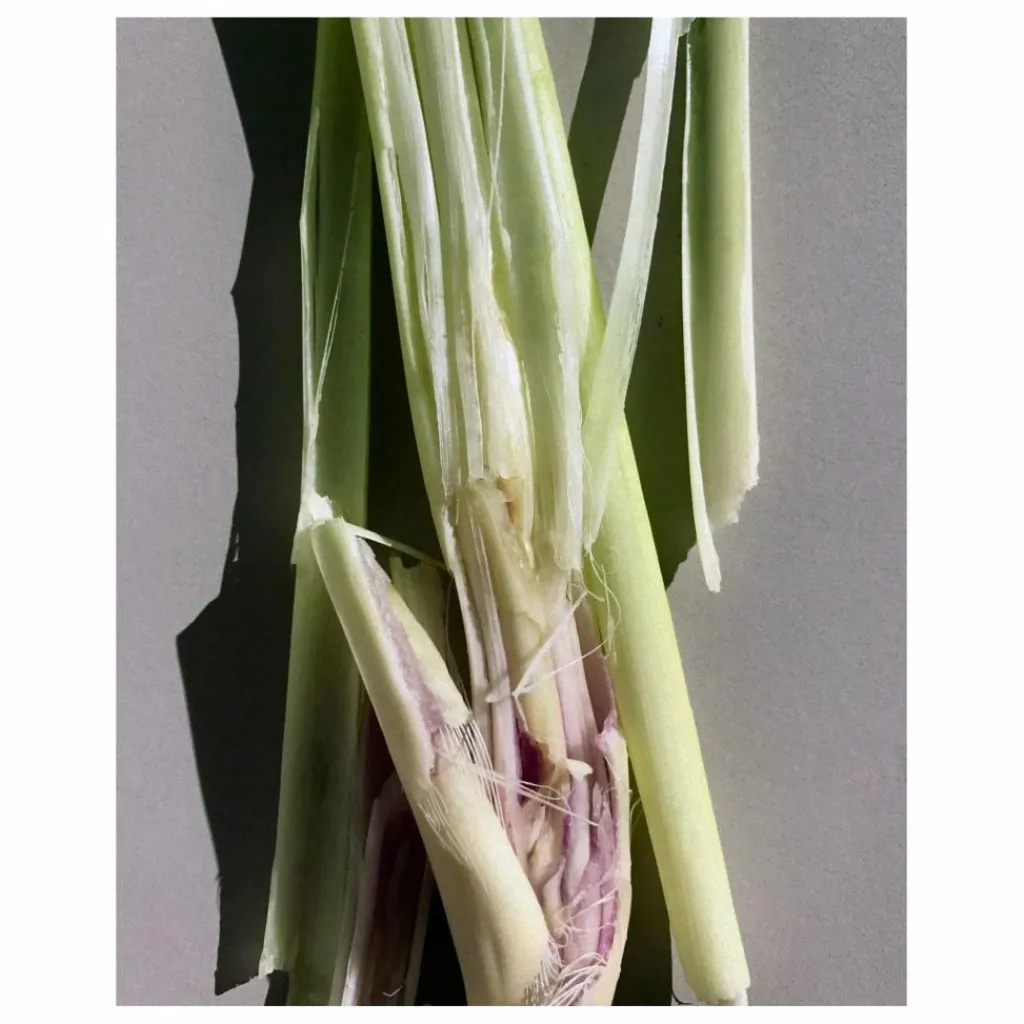 Hot L:A BRUKET Crème pour le corps Citronelle 299 - 200ml Non teinté