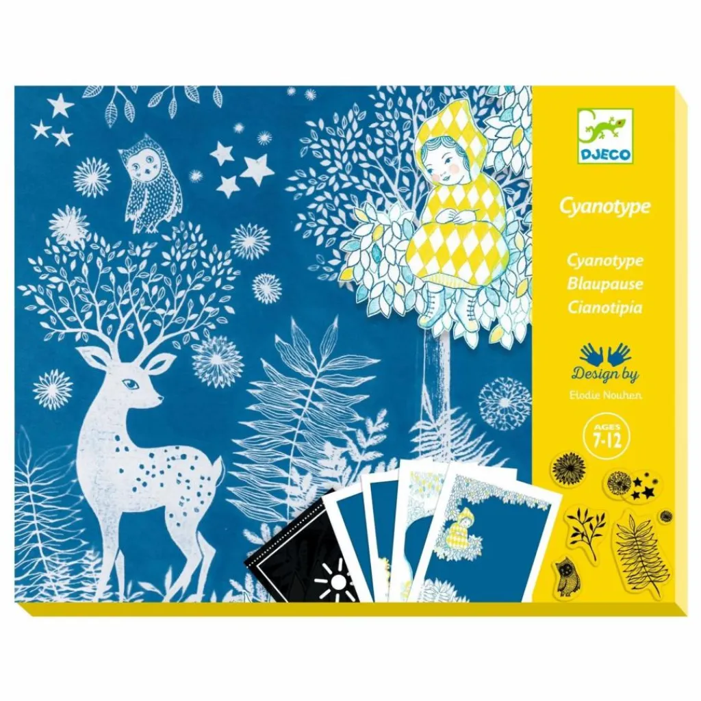Djeco Loisirs Créatifs|Cyanotype Clair de Lune
