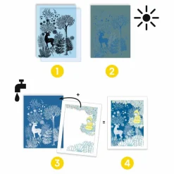 Djeco Loisirs Créatifs|Cyanotype Clair de Lune