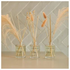 Hot Brooklyn Candle Studio Diffuseur Reed Sunday Morning - 130 ml Non teinté