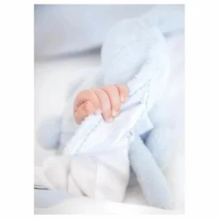 Tartine et Chocolat Doudou Augustin le lapin tout doux |