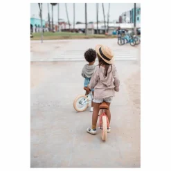 Banwood Draisienne First Go 12