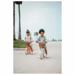 Banwood Draisienne First Go 12