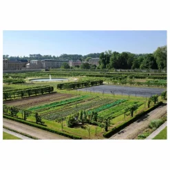 Mademoiselle Saint Germain Eau démaquillante - 120ml Non teinté Hot