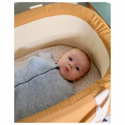 Clearance Tante Reine Gigoteuse d'emmaillotage en coton bio | Gris chiné