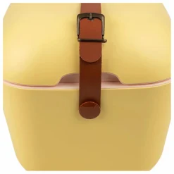 Homme Polarbox Glacière avec anse colorée |