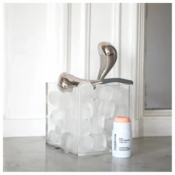 Holidermie Globes de cryothérapie visage | Argenté Discount