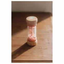 Little Dutch Jouets D'Éveil|Hochets Et Anneaux De Dentition|Hochet de pluie en bois FSC - Fairy Garden |