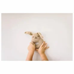 Main Sauvage Hochet Lapin |