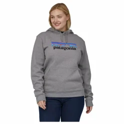Patagonia Hoodie Logo - Collection Homme | Gris chiné foncé Discount