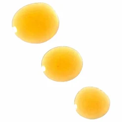 Femme Pai Skincare Soins Du Visage|Huile de nuit visage Viper's Gloss - 30ml