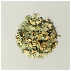 Hot Holidermie Infusion vertueuse Non teinté