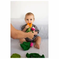 Oli & Carol Jouet de dentition Cathy la carotte Orange Clearance