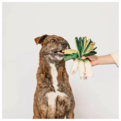 The Furry Folks Accessoires Animaux|Jouet de fouille Green Onion |