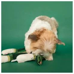 The Furry Folks Accessoires Animaux|Jouet de fouille Green Onion |