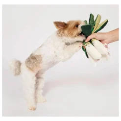 The Furry Folks Accessoires Animaux|Jouet de fouille Green Onion |