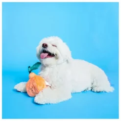 Outlet The Furry Folks Jouet de fouille | Orange