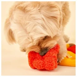 The Furry Folks Accessoires Animaux|Jouet de fouille Surfer Hooman |