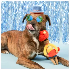 The Furry Folks Accessoires Animaux|Jouet de fouille Surfer Hooman |