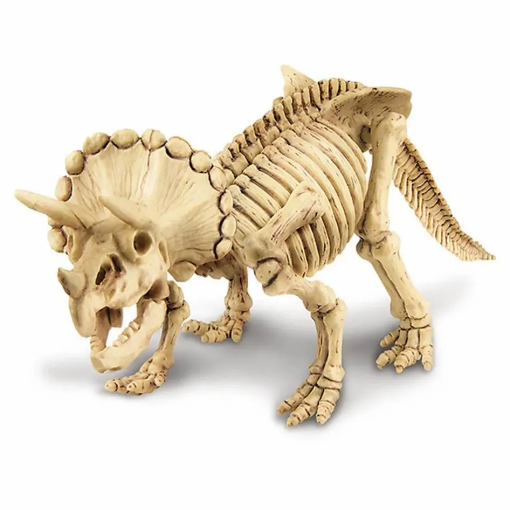 4M Kit déterre ton dinosaure Tricératops